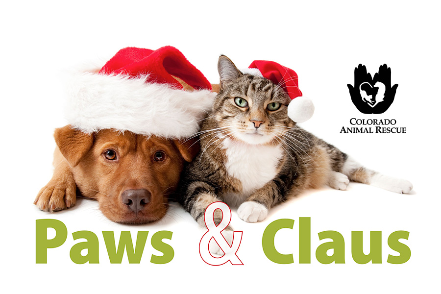 Paws & Claus