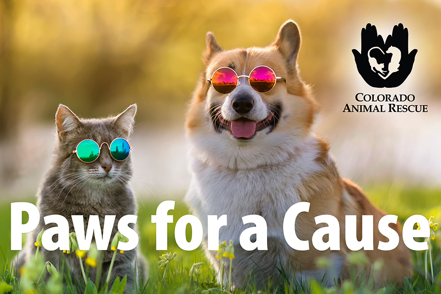 Paws for a Cause